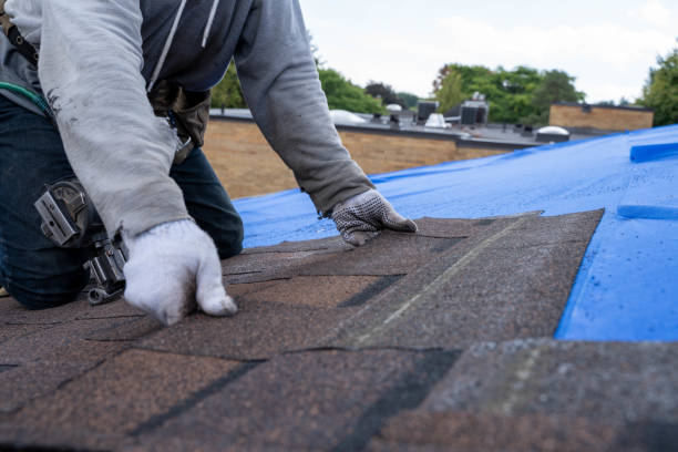 Best Storm Damage Roof Repair  in West Leechburg, PA