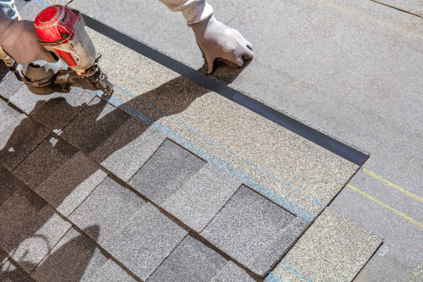 Best Roof Gutter Cleaning  in West Leechburg, PA