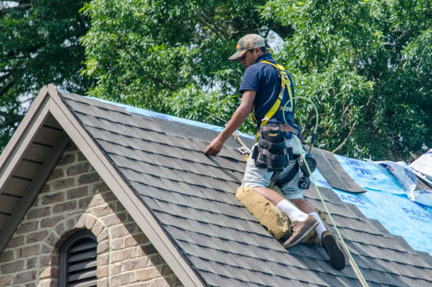 Best Roof Maintenance Services  in West Leechburg, PA